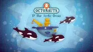 The Arctic Orcas still