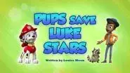Pups Save Luke Stars still