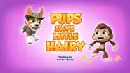 Pups Save Little Hairy still