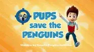 Pups Save the Penguins still