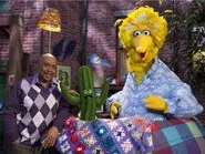 What's in Big Bird's Nest? still