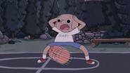 The Basketball Liaries still