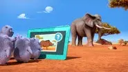 Safari Express still
