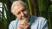 Attenborough's Fabulous Frogs still