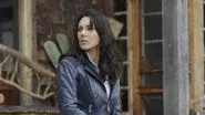 Scion still