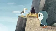 Bird Detective still