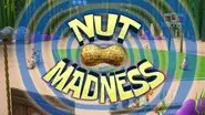 Nut Madness still