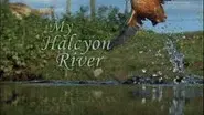 My Halcyon River still