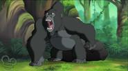 Tarzan and the Challenger still