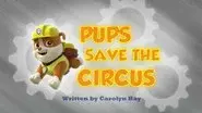 Pups Save the Circus still