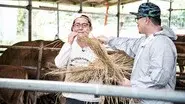 Farming Activity for Fall + Three Things You'd Take to a Deserted Island (1) still