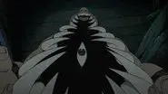 Inside the Belly still
