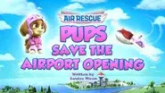 Air Rescue: Pups Save the Airport Opening still