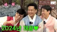 New Year's Greeting is just an excuse(Pinggyego) still