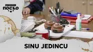 2534 Sinu jedincu still