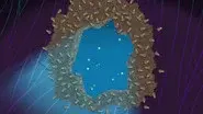 The Hole Truth / The Gift / Pest Friends still