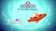 The Baby Dolphin still