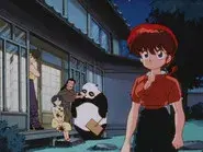 I Love You, Ranma! Please Don't Say Goodbye still