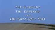 The Elephant, The Emperor and Butterfly Tree still