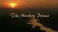 The Monkey Prince still