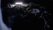 One Giant Leap still