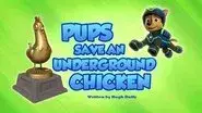 Pups Save an Underground Chicken still