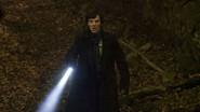 The Hounds of Baskerville still