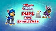 Rescue Knights: Pups Save Excalibark still