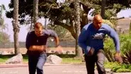 Predator still