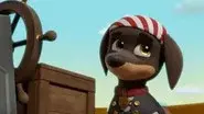 Jungle Pups: Pups Save the Meerkat Pirates still