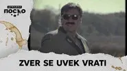 2493 Zver se uvek vrati still