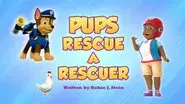 Pups Rescue a Rescuer still