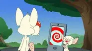 Of Mice and Memes still