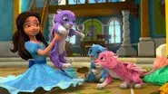 Three Jaquins and a Princess still