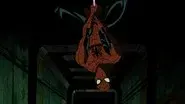 Along Came a Spider… still