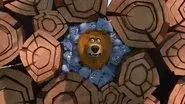 Call of the Bear still