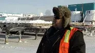 The Polar Bear Returns still