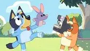 Bob Bilby still