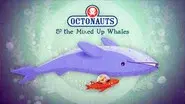The Mixed-Up Whales still