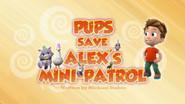 Pups Save Alex's Mini-Patrol still