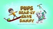 Pups Bear-ly Save Danny still