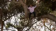 When a Tree Falls still