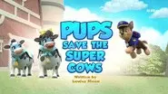 Pups Save the Super Cows still