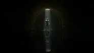 The Dark at the End of the Tunnel still