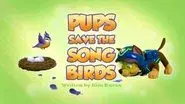 Pups Save the Songbirds still