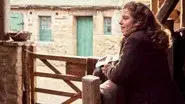 Jenny Wren still
