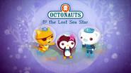 The Lost Sea Star still