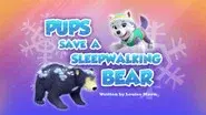 Pups Save a Sleepwalking Bear still