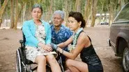 Moʻo ʻolelo Pu (Sharing Traditions) still