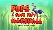 Pups Save Tiny Marshall still